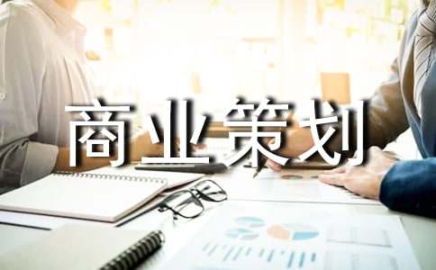 匠心筑夢，智領未來——XX科技有限公司商業(yè)策劃書